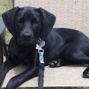 Meet your Posher, Kerry